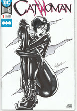 Load image into Gallery viewer, Catwoman - Inktober 2024 Collection